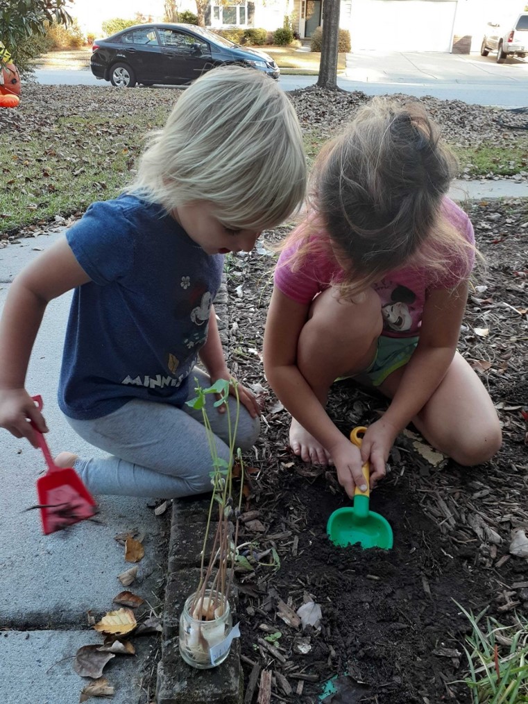  Two girls seed a plant