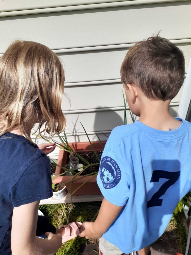  Taking care the plants
